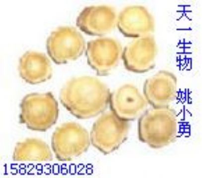 Astragalus Extract